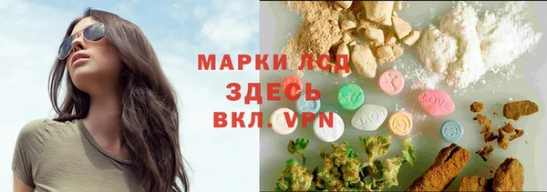 прущие грибы Балабаново