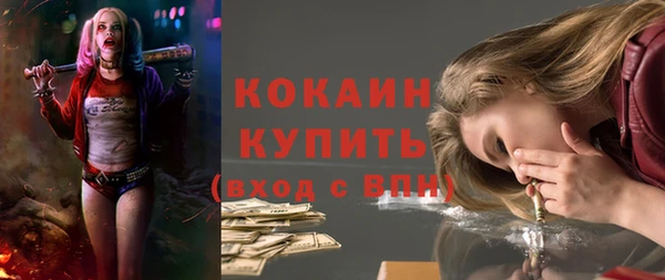 трава Белокуриха
