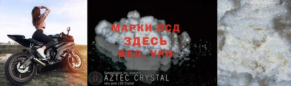 мяу мяу мука Баксан