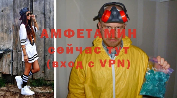 индика Беломорск