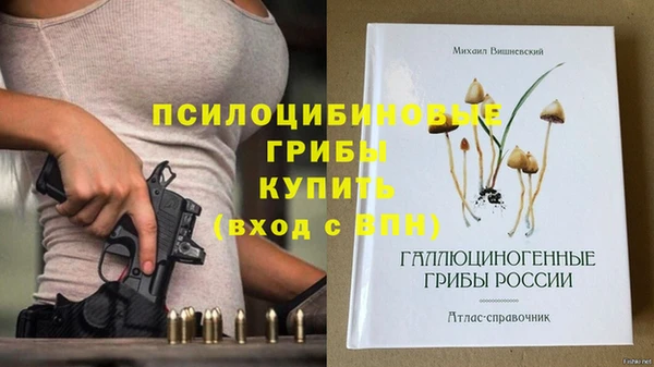 трава Белокуриха