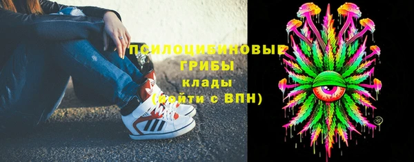 прущие грибы Балабаново