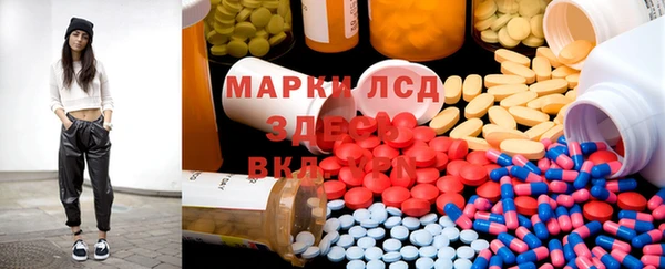 прущие грибы Балабаново