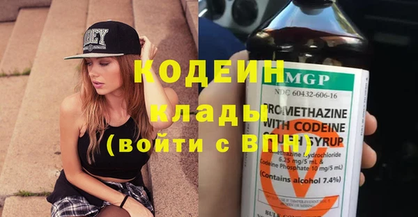 трава Белокуриха
